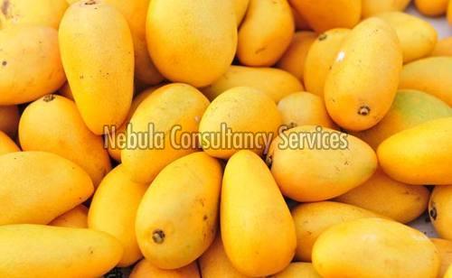 Fresh Natural Mango