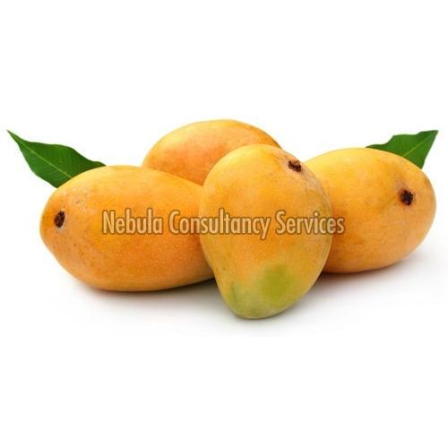 Fresh Organic Mango