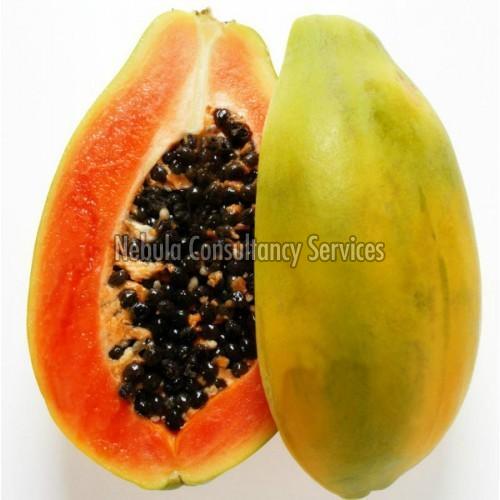 Fresh Organic Papaya