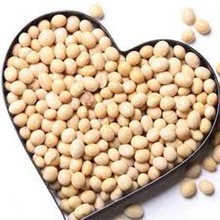 Indian Bazaar Best Quality white peas