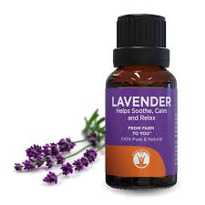 lavender oil