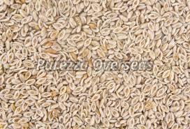 Organic White Psyllium Seeds, Style : Natural