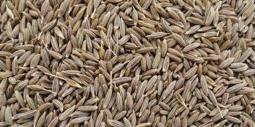 Brown Cumin Seeds, Shelf Life : 1Year