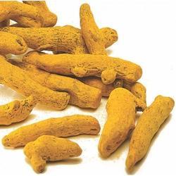 Unpolished Turmeric Finger, for Ayurvedic Products, Cooking, Cosmetic Products, Herbal Products, Medicine