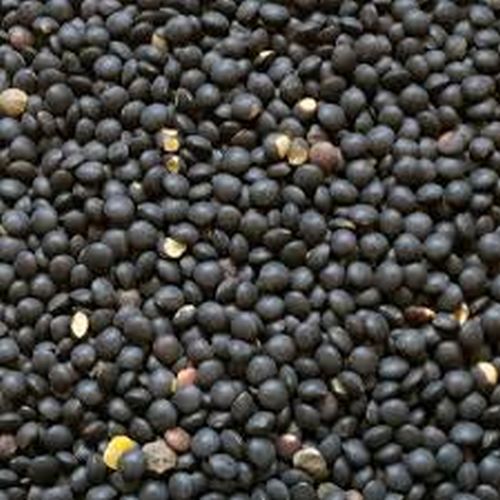 Black Gram, Packaging Size : 5kg, 10kg, 15kg, 20kg