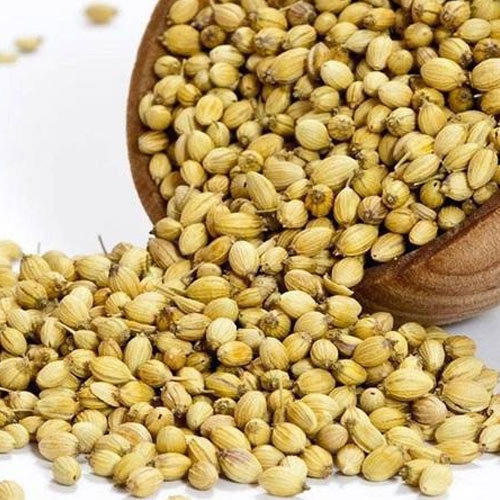 Organic coriander seeds, for Cooking, Medicinal, Color : Grey