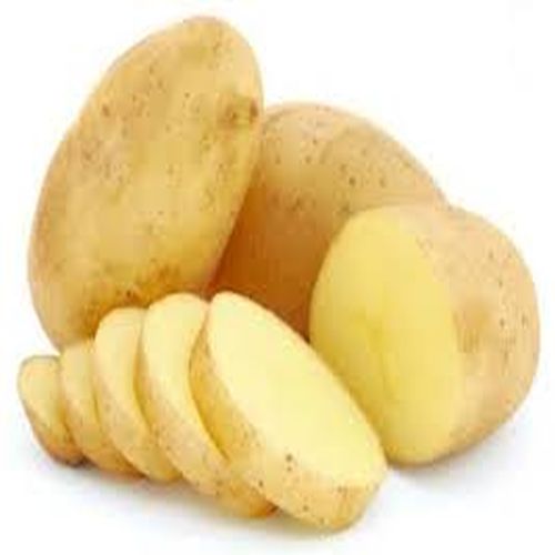 Organic fresh potato, for Home, Restaurant, Snacks, Packaging Type : Jute Bag