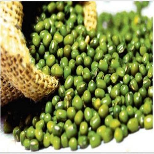 Natural Green Gram, for Cooking, Feature : Healthy To Eat, Highly ...