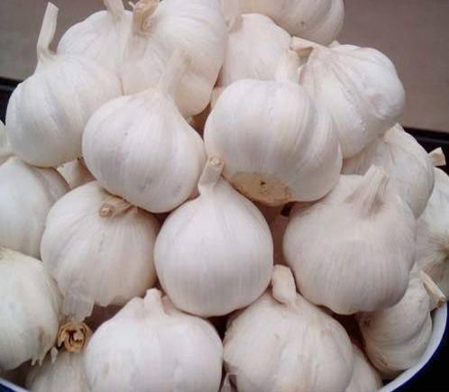 Organic Whole Garlic, for Cooking, Color : White