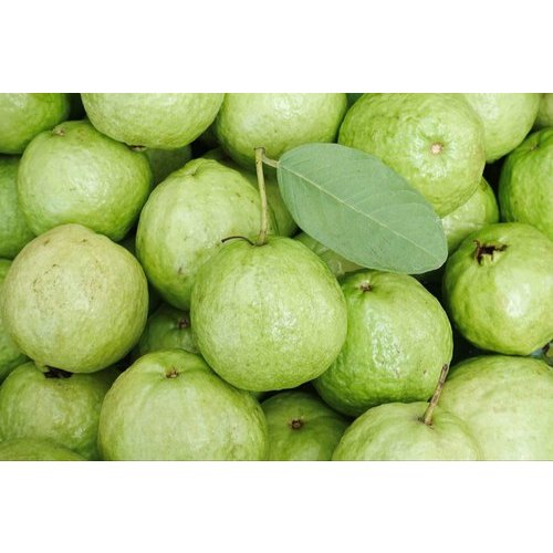 Organic Guava