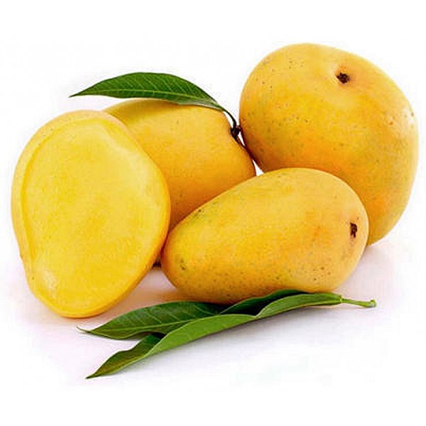 organic mango