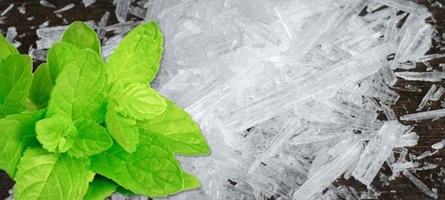Menthol Crystal, for Cosmetics, Food Flavour, Purity : 100%