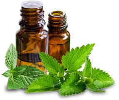 Spearmint oil, for Healing Wounds, Food Grade, Packaging Type : Drums