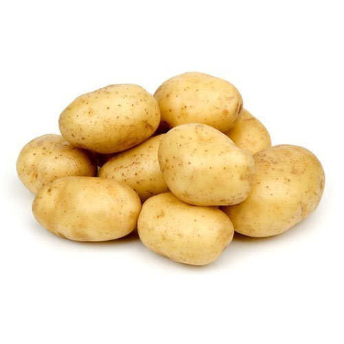 Organic fresh potato, for Cooking
