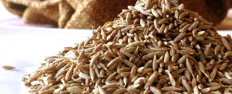 Dried Cumin Seeds, Shelf Life : 1Year