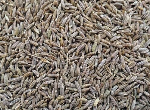 Natural Cumin Seeds, for Cooking, Feature : Improves Acidity Problem