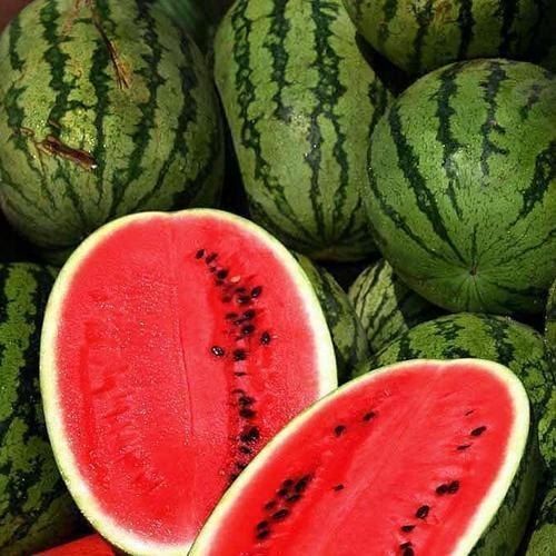 Green Watermelon