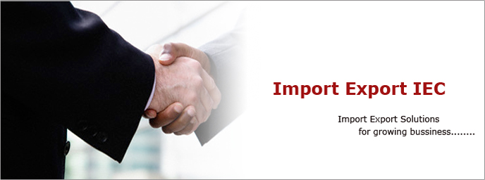 Import Export Code Consultancy Services