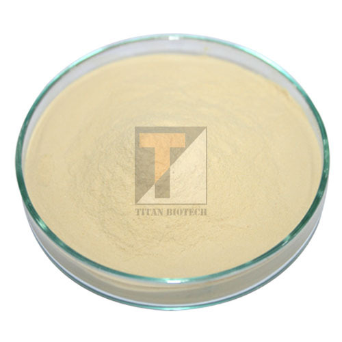 Meat Extract Powder and Paste