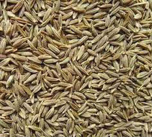 OM Cumin Seed, Style : Dried