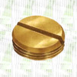 Brass Slotted Plug