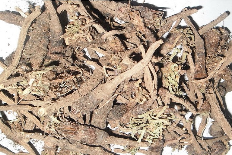 herbal roots