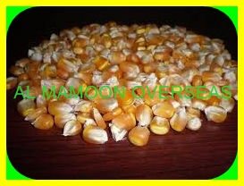 AMO yellow corn maize, for Cattle, Chicken, Grade : ANIMAL FEED