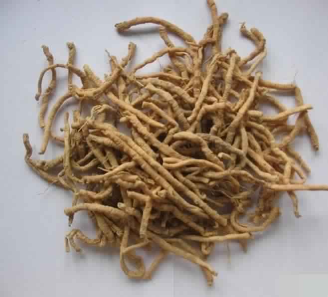 Dry Roots Extract