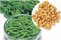 SOY PROTEIN EXTRACT