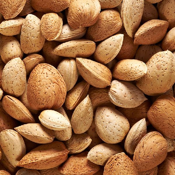 Nonpareil Inshell Almonds