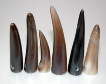 buffalo horn tip