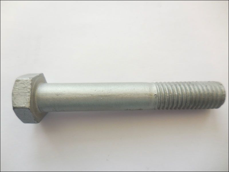 Carriage Bolt