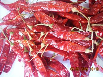 TOSHALI dry red chilli