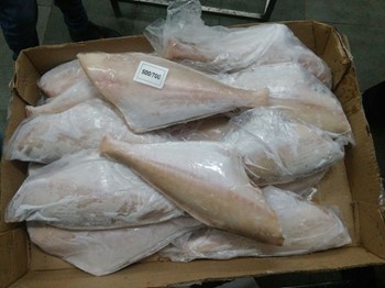 Leather Jacket Fish at Best Price in Mumbai | Fakih Foods