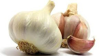 GMO fresh garlic