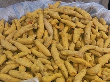 Turmeric finger