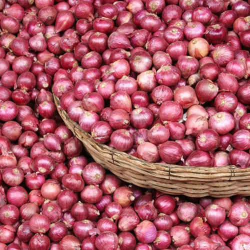 Dry 50 KG A Grade Fresh Red Onion, Net Bag, Onion Size Available: Medium