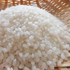 Soft Organic Short Grain White Rice, Packaging Type : 10kg, 20kg