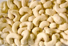  cashews Kernels, Certification : HACCP, ISO