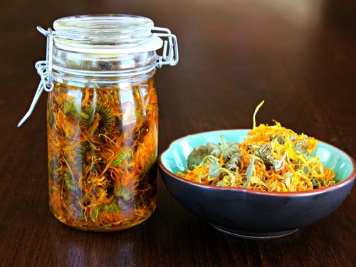 Calendula Infused Carrier Oil