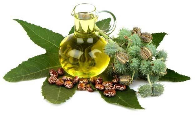 Castor Carrier Oil