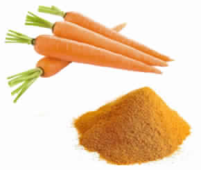 Carrot Powder