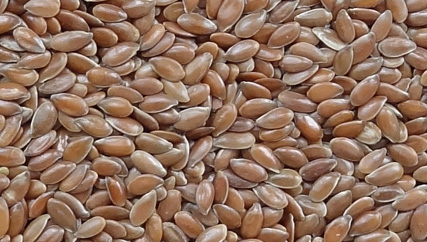 Flax Seed Linseed