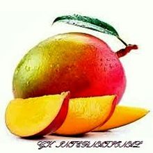 Customized Sterilized Alphonso Mango Pulp, Shelf Life : 24 Months