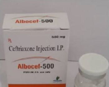 Albocef 500mg Injection