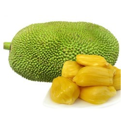 Organic Jackfruit