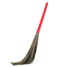 Broom, for Home