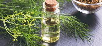 Organic Fennel Seed Oil, Packaging Type : Aluminium bottle, HDPE Drums, GI drums