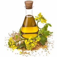 Terpeneless Dill Seed Oil, Packaging Type : Glass Bottels, Plastic Bottels