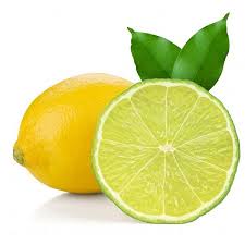 Organic lemon, Shelf Life : 15days